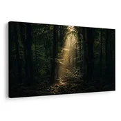 Slika gozdna svetloba med drevesi - 90x60