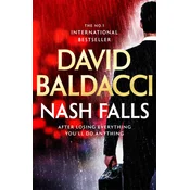 Nash Falls