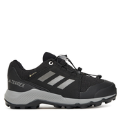 ADIDAS TERREX Nizki čevelj temno siva/črna