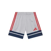 adidas Športne kratke hlače Squadra 25 JP3416 Siva Regular Fit