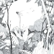 Back And Forth - Time Whispers (LP)