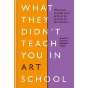 What They Didnt Teach You in Art School