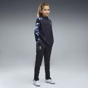 PUMA Premier League Reactivity Training Pants Youth, Clothing, Navy/White/Hero Blue, 15-16Y
