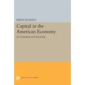 Capital in the American Economy