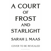Court of Frost and Starlight