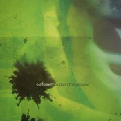 Eiafuawn - Birds In The Ground (Reissue) (Bee Yellow Coloured) (LP)