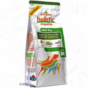ALMO NATURE ADULT pasja hrana MEDIUM JAGNJETINA & RIŽ - 12 KG