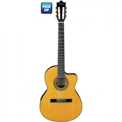 Ozvucena klasicna gitara - GA5TCE-AM