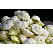BUEKE PATIŠON CUSTARD WHITE 4gr