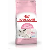 ROYAL CANIN Suva hrana za macke Baby Cat 2kg