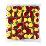 Teniške žogice za otroke Wilson  Starter Red (36 Pack)