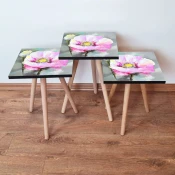 Hanah Home Set klub stocica 3Shp242, 3 komada, Roze