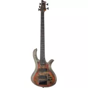 Schecter Riot-5 | Inferno Burst #1453