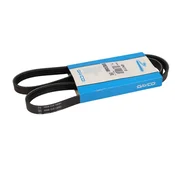 Shumee VEČPLETNI PAS 4PK1115, (21395689)