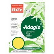 Kopirni papir u boji Rey Adagio - Citrus 58, A4, 80 g, 100 listova