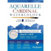 Clairefontaine Cardinal Glued Pad A5 300 g Skicirka