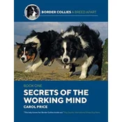 Secrets Of The Working Mind