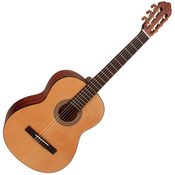 Cort AC100DX OP