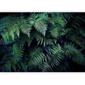 artgeist Fototapeta In The Thicket, 200x140cm