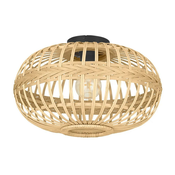 Eglo 43723 - Plafonsko svetlo AMSFIELD 1xE27/40W/230V