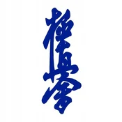 shumee Termo trak za kimono Kai 13x5 moder, likalni trak za majico