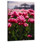 shumee Platno s tiskom Botanika Tulipani Cvetje 60x90 cm Cvetlični šopek