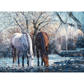 Cobble Hill Puzzle Lepota zime 500 kosov