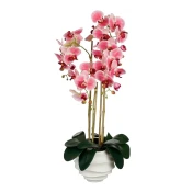 Orhideja roza lončnica v x 82 x š x 34 cm, Edel.