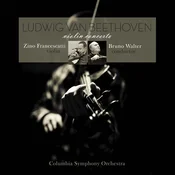Ludwig van Beethoven - Violin Concerto (Limited Edition) (Gold Coloured) (180 g) (LP)