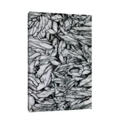 Canvas Slika na platnu Pinolit Austrija, Bez rama, 50 x 75 cm