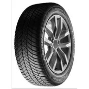 Cooper Discoverer All Season ( 205/60 R16 96V XL )
