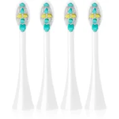 Concept Nadomestna glava 3D Daily Clean bela ZK0070