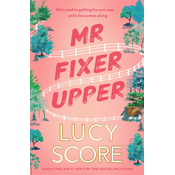 Mr Fixer Upper