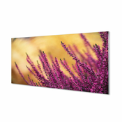 tulup.si Stenska plošča za kuhinjo Cvetje 140x70 cm