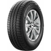 Riken Cargospeed Evo ( 225/55 R17C 109/107H )