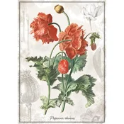 Interdruk - Puzzle Botanic Poppy - 1 000 dijelova