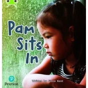 Bug Club Phonics Non-Fiction Early Years and Reception Phase 2 Unit 2 Pam Sits In