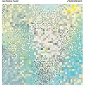 Nathan Fake - Providence (2 LP)