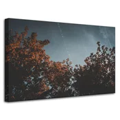 shumee Platno s tiskom Krošnje pomarančevcev 80x50