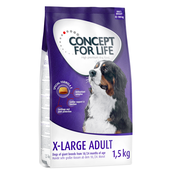 Concept for Life suha pasja hrana 4 x 1 kg/1,5 kg po posebni ceni! - X-Large Adult 4 x 1,5 kg (6 kg)