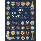Ernst Haeckel's Art Forms in Nature: A Visual Masterpiece of the Natural World
