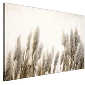 shumee Slika na italijanskem platnu 90 x 60 cm - boho stil - narava Slika na italijanskem platnu 120 x 80 cm - boho stil - narava