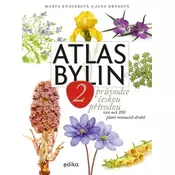 Atlas bylin 2