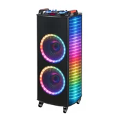 NDR Bluetooth zvucnik NDR-1010S, 100W, 2x10, 2 mikrofona, Crni