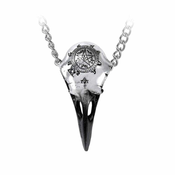 Ogrlica z obeskom ALCHEMY GOTHIC - Volvan Raven Skulll - P898