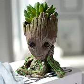 Saksija Groot