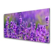 tulup.si Zidna obloga za kuhinju Purple lavender polje 120x60 cm