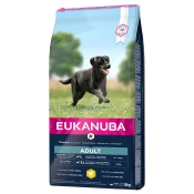 Eukanuba Adult Large Breed piščanec - 15 kg