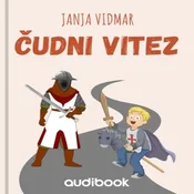 AUDIBOOK Avdio knjiga: Čudni vitez
