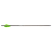 Barnett Bolt Carbon Headhunter Lighted 22”